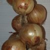 Ristras o patas de cebolla blanca. frescas entregadas a domicilio segun su solicitud.