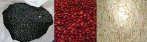 Granos diversos, frijoles negros, frijoles colorados, arroz blanco