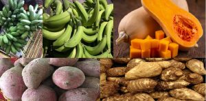 Viandas variadas que se ofertan, Boniato, Platanos, Calabazas, Malngas