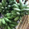 Platano burro verde, tallo completo, manos de platanos